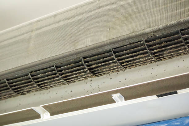 Best Affordable Duct Cleaning Services  in Forest Acres, SC